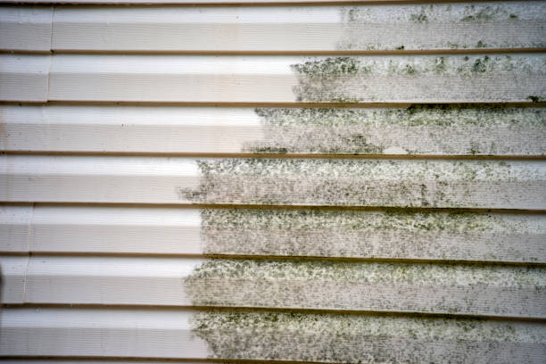 Best Furniture Removal  in Flordell Hills, MO